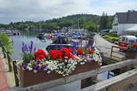 Sunapee Harbor, NH - Flower Box and Boats